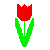 Image of red flower