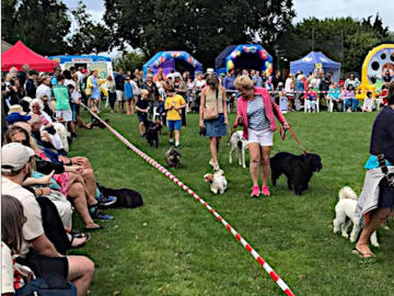Photograph taken during Nettlestone & Seaview Summer Fete 12 August 2022