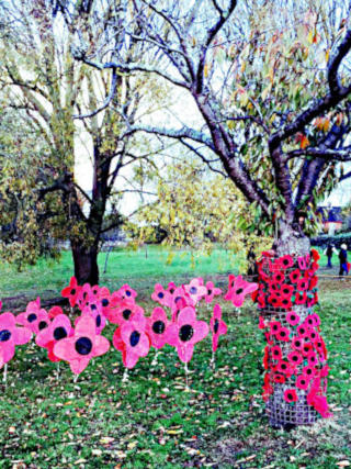 Photograph of Poppy Remembrance Display