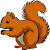 Image of Squirrel