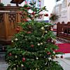 266 St Helen's - Christmas Tree 2021