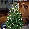 243 St Helen's - Christmas Tree 2019