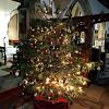 240 St Mary's - Christmas Tree 2019