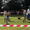 15 Dog Show